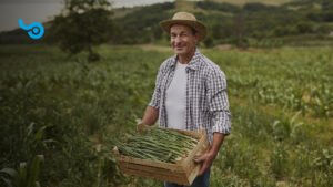 Imagem de campo agrícola com um homem segurando um caixote com cebolinha colhida. O homem está usando um chapéu de palha, uma camiseta branca e por cima, uma camisa xadrez aberta.