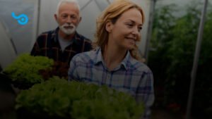 Imagem de agricultores animados com o Plano Safra cuidando das plantações de alface. Na imagem mostra uma mulher de camisa quadriculada com tons de azul. E um homem mais velho com uma camisa em tons de vermelho. Os dois aparecem andando e sorrindo. Na imagem é apresentado o logo da Softfocus em azul no canto superior esquerdo.