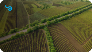 Na imagem é mostrado um campo agrícola brasileiro. Com várias plantações e uma estrada de asfalto cruzando o caminho. Representando o Plano Safra 2023/2024 e o crédito para agricultura. A logo da Softfocus, um S estilizado com um ponto no meio, é sinalizada no canto superior esquerdo.